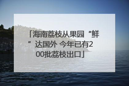海南荔枝从果园“鲜”达国外 今年已有200批荔枝出口