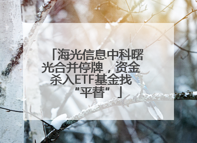 海光信息中科曙光合并停牌，资金杀入ETF基金找“平替”