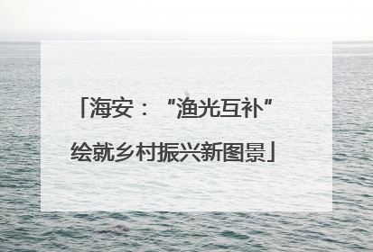 海安：“渔光互补” 绘就乡村振兴新图景
