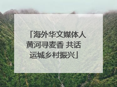 海外华文媒体人黄河寻麦香 共话运城乡村振兴