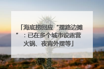 海底捞回应“摆路边摊”：已在多个城市设露营火锅、夜宵外摆等