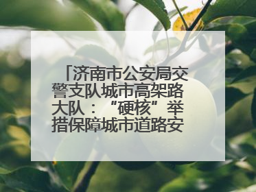 济南市公安局交警支队城市高架路大队：“硬核”举措保障城市道路安全畅通