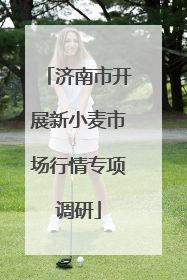 济南市开展新小麦市场行情专项调研