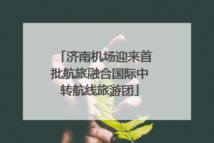 济南机场迎来首批航旅融合国际中转航线旅游团