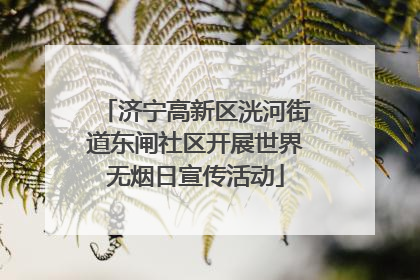 济宁高新区洸河街道东闸社区开展世界无烟日宣传活动