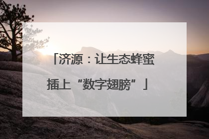济源：让生态蜂蜜插上“数字翅膀”