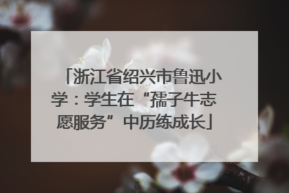 浙江省绍兴市鲁迅小学：学生在“孺子牛志愿服务”中历练成长
