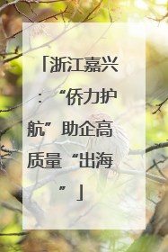 浙江嘉兴：“侨力护航”助企高质量“出海”