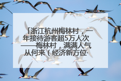 浙江杭州梅林村，一年接待游客超5万人次——梅林村，满满人气从何来（经济新方位·农村消费观察）