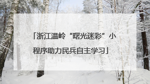 浙江温岭“曙光迷彩”小程序助力民兵自主学习