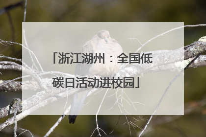 浙江湖州：全国低碳日活动进校园