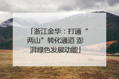 浙江金华：打通“两山”转化通道 澎湃绿色发展动能