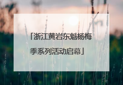 浙江黄岩东魁杨梅季系列活动启幕