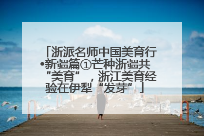浙派名师中国美育行•新疆篇①芒种浙疆共“美育”，浙江美育经验在伊犁“发芽”