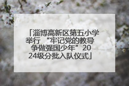 淄博高新区第五小学举行 “牢记党的教导 争做强国少年”2024级分批入队仪式