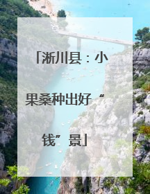 淅川县：小果桑种出好“钱”景