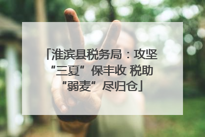 淮滨县税务局：攻坚“三夏”保丰收 税助“弱麦”尽归仓