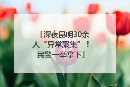 深夜昆明30余人“异常聚集”！民警一举拿下
