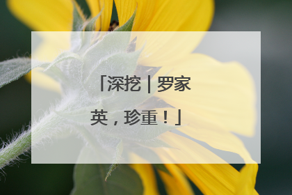 深挖｜罗家英，珍重！