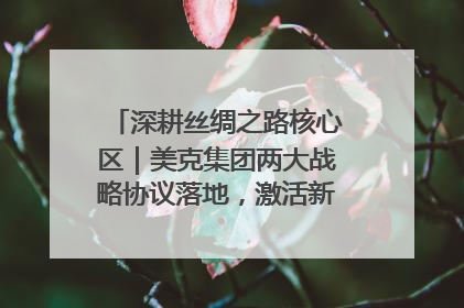 深耕丝绸之路核心区｜美克集团两大战略协议落地，激活新疆开放新动能