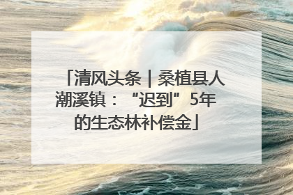 清风头条｜桑植县人潮溪镇：“迟到”5年的生态林补偿金