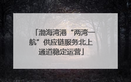 渤海湾港“两湾一航”供应链服务北上通道稳定运营