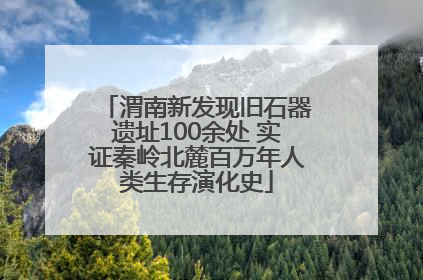 渭南新发现旧石器遗址100余处 实证秦岭北麓百万年人类生存演化史