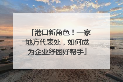 港口新角色！一家地方代表处，如何成为企业纾困好帮手