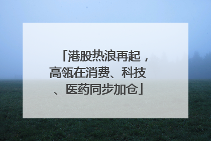 港股热浪再起，高瓴在消费、科技、医药同步加仓