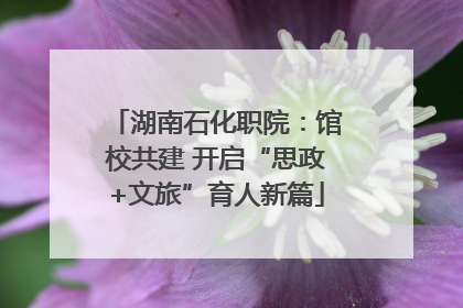 湖南石化职院：馆校共建 开启“思政+文旅”育人新篇