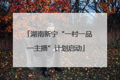 湖南新宁“一村一品一主播”计划启动