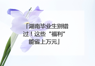 湖南毕业生别错过！这些“福利”能省上万元
