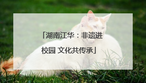 湖南江华：非遗进校园 文化共传承