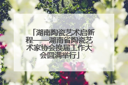 湖南陶瓷艺术启新程——湖南省陶瓷艺术家协会换届工作大会圆满举行