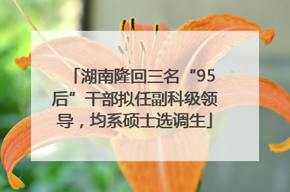湖南隆回三名“95后”干部拟任副科级领导，均系硕士选调生