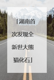 湖南首次发现全新世大熊猫化石