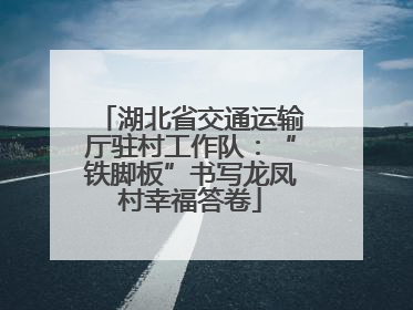 湖北省交通运输厅驻村工作队：“铁脚板”书写龙凤村幸福答卷