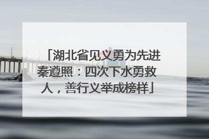 湖北省见义勇为先进秦遵照：四次下水勇救人，善行义举成榜样