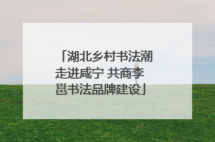 湖北乡村书法潮走进咸宁 共商李邕书法品牌建设
