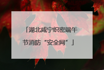 湖北咸宁织密端午节消防“安全网”