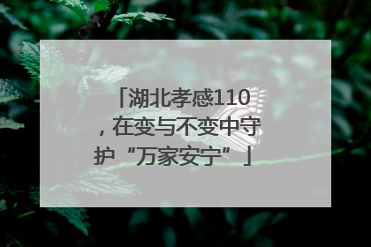 湖北孝感110，在变与不变中守护“万家安宁”