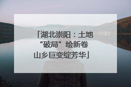 湖北崇阳：土地“破局”绘新卷 山乡巨变绽芳华