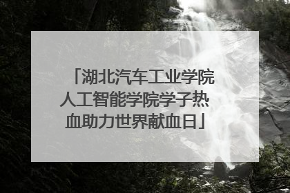 湖北汽车工业学院人工智能学院学子热血助力世界献血日