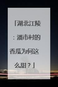 湖北江陵：潘市村的香瓜为何这么甜？