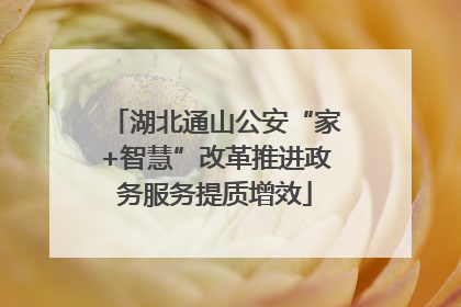 湖北通山公安“家+智慧”改革推进政务服务提质增效