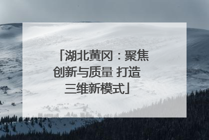 湖北黄冈：聚焦创新与质量 打造三维新模式