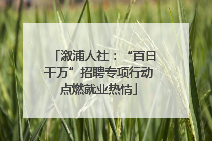 溆浦人社：“百日千万”招聘专项行动点燃就业热情