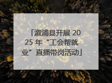 溆浦县开展 2025 年“工会帮就业”直播带岗活动