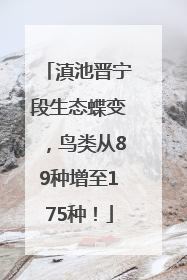 滇池晋宁段生态蝶变，鸟类从89种增至175种！