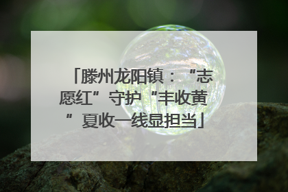 滕州龙阳镇：“志愿红”守护“丰收黄”夏收一线显担当